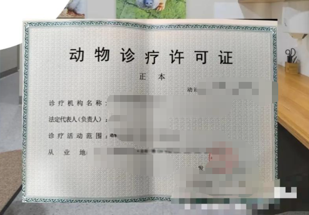 济宁动物诊疗许可代办、济宁动物诊疗许可、济宁动物诊疗许可办理